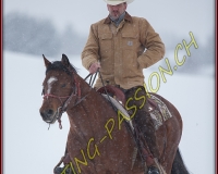 SEMSALES - 0348